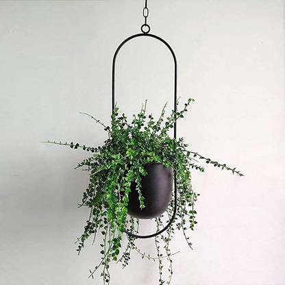 FloraFrame Hanging Planter | Modern Minimalist Iron Design 0