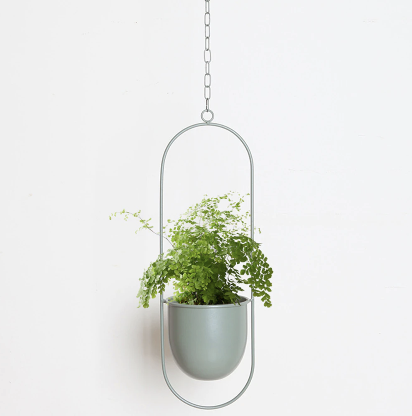 FloraFrame Hanging Planter | Modern Minimalist Iron Design 3