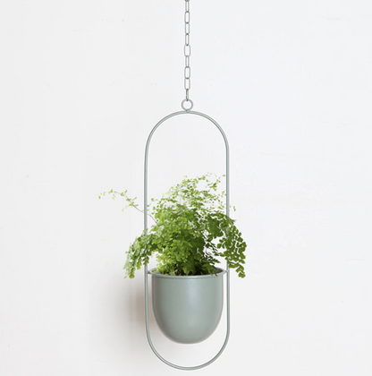 FloraFrame Hanging Planter | Modern Minimalist Iron Design 3