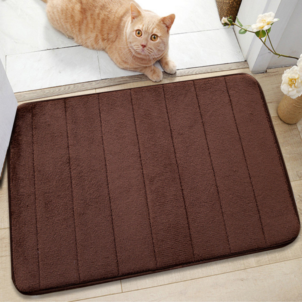 UltraSoft Absorbent Bath Mat | Anti-Slip & Fast-Dry Design 0