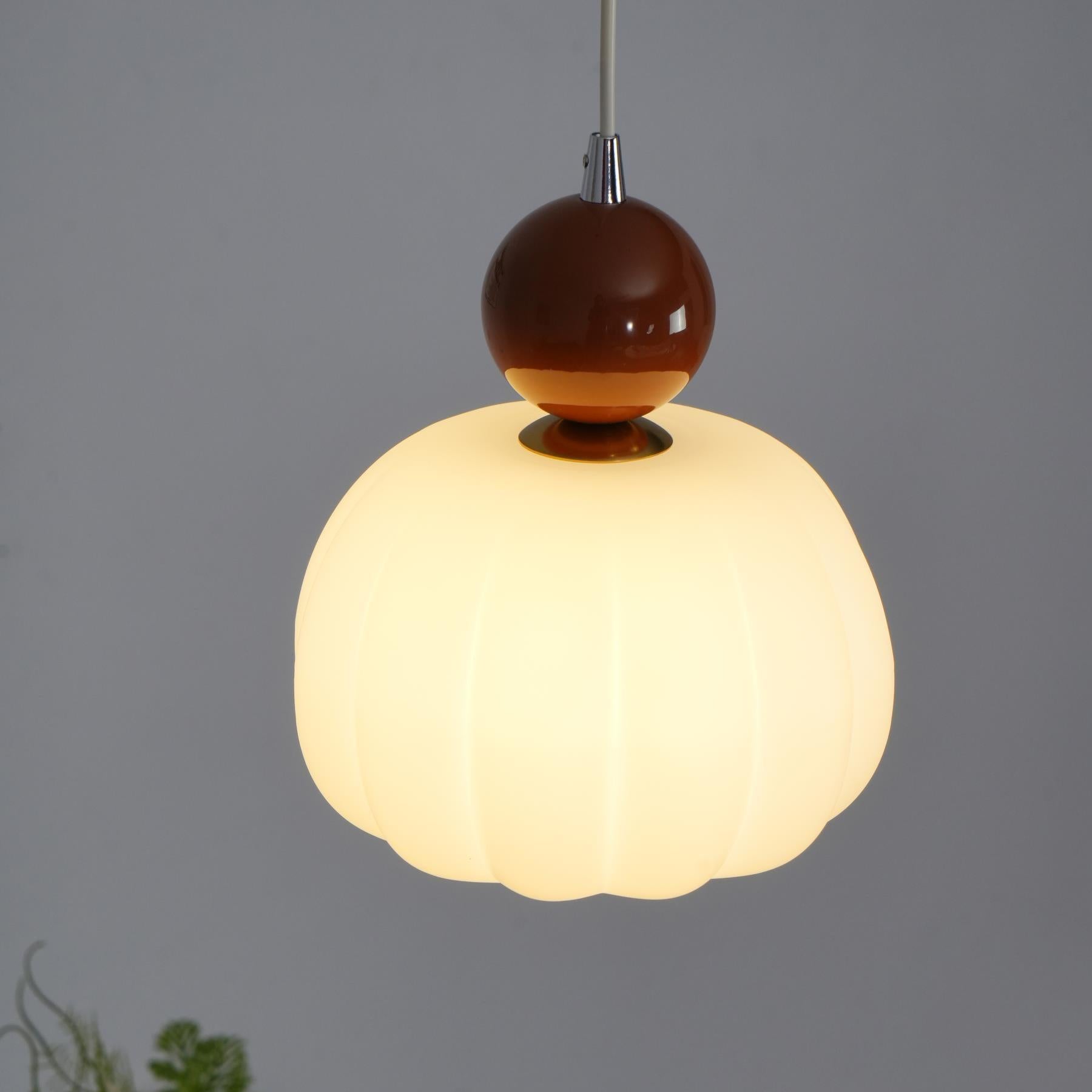 Yedra Pendant Lamp | Organic Round Acrylic Design 3